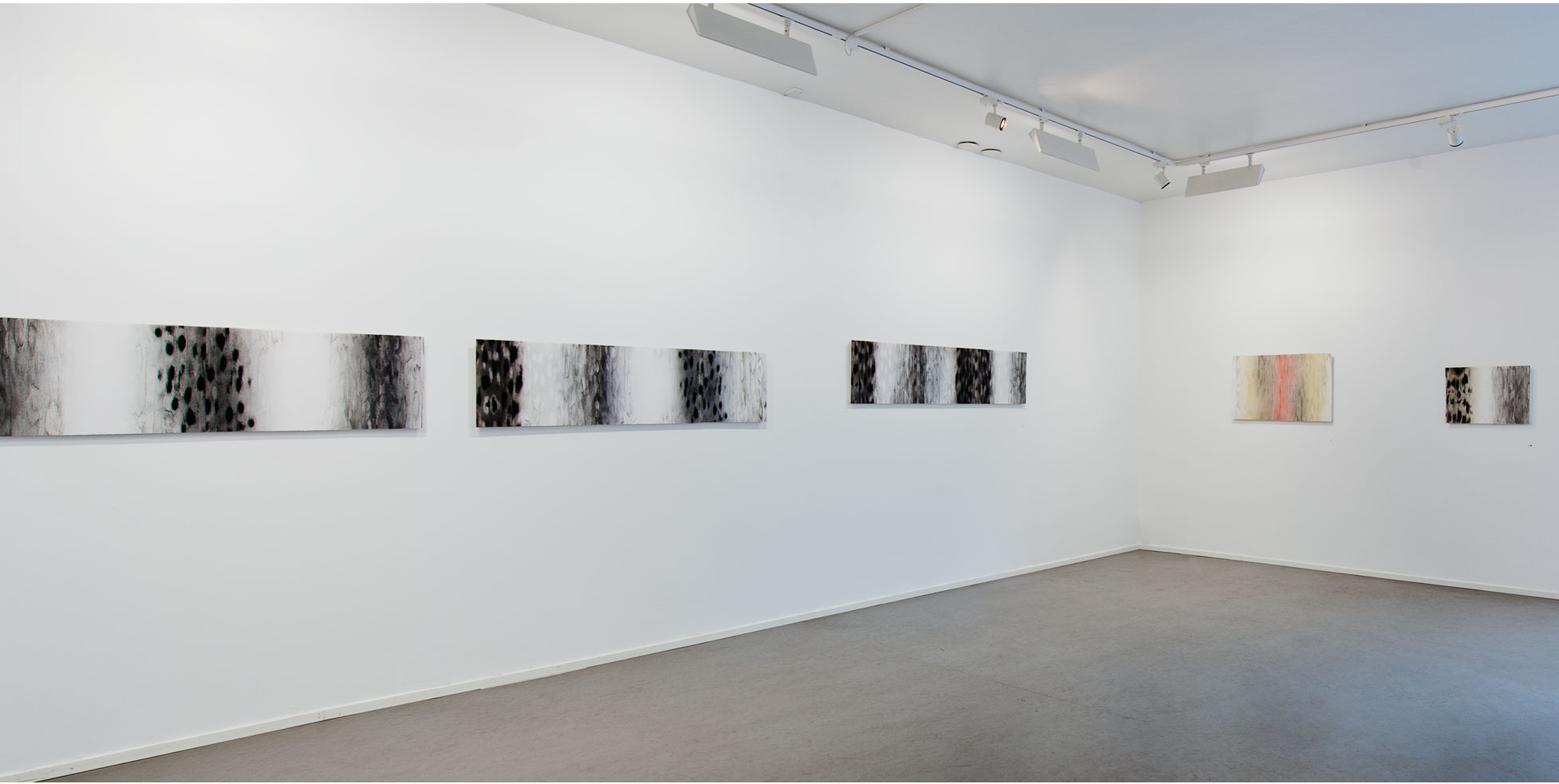 Näkymä, Galleria G 2011, Irma Tonteri. Kuvaaja Heli Kaskinen