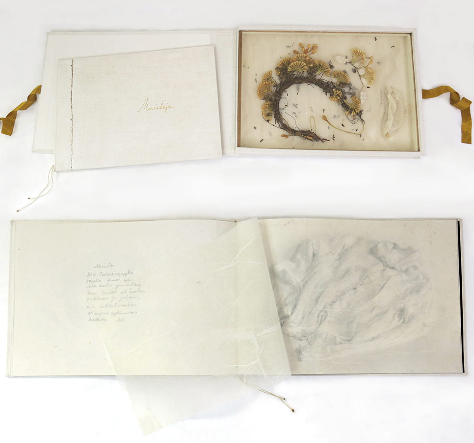 Matkakertomuksia, sininen kirja, 2013, Irma Tonteri